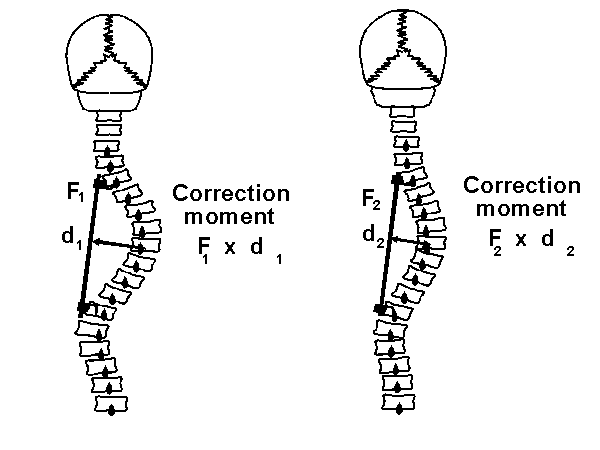 fig2